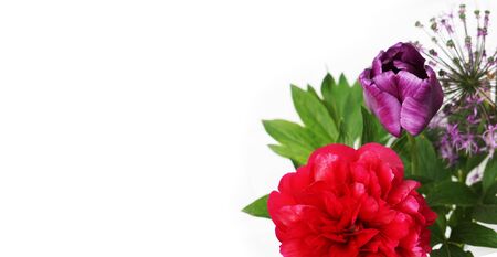 Bright, multi-colored garden flowers isolated on white background. Concept for holiday greetings.の写真素材