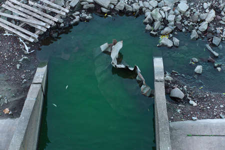 Ecological problem. A green chemical compound is discharged into the river. The green water is...