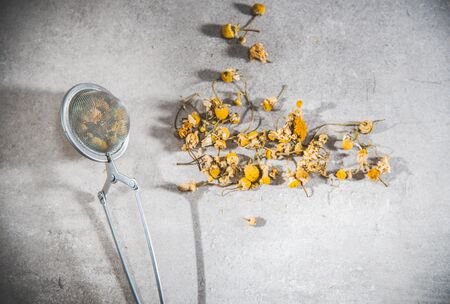 Dry chamomile tea petals in an infuser on gray tableの写真素材