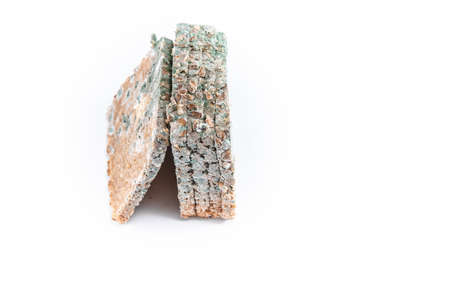 Moldy bread, rotten and uneatable isolated on white background