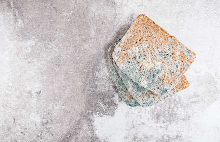 Moldy bread, rotten and uneatable. Slices of molded foodの写真素材