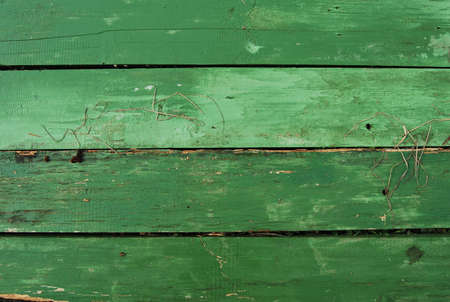 Wooden planks nature series of dirty green background.の写真素材
