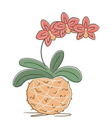 Minimalist botanical illustration of a homemade kokedama with Blooming Phalaenopsis. Perfect for nature, decor, and eco-home visuals.のイラスト素材