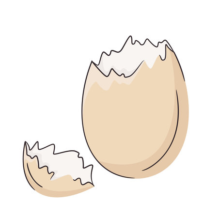 Brown egg shell broken or crack with pieces scattered on the surface, isolated on white background, cut out. Bright and clean design, minimal vector illustration.のイラスト素材