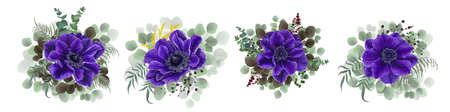 Vector set of beautiful blue anemones. Blue anemones, eucalyptus, mimosa, berries, green plants and leaves. Flowers on a white background.のイラスト素材