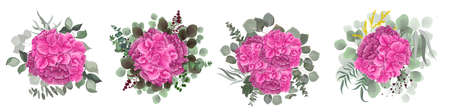 Vector set of bouquets of pink hydrangea flowers on a white background. Mimosa, eucalyptus, berries, green plants and flowers.のイラスト素材