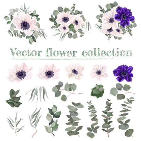 Vector set of anemone flowers. Blue and white anemones, eucalyptus,  green leaves and plants. Flowers on a white background.のイラスト素材