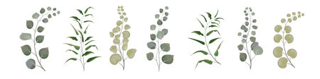 Vector set from a set of herbs. Green herbs, branches with moldings, plants. Greens on white backgroundのイラスト素材