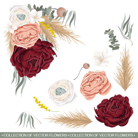 Vector floral composition in the shape of an angle. Red rose, white Chinese buttercup, dried flowers, pink roses, ranunculus, eucalyptus. All flowers and plants are isolated on a white background.のイラスト素材
