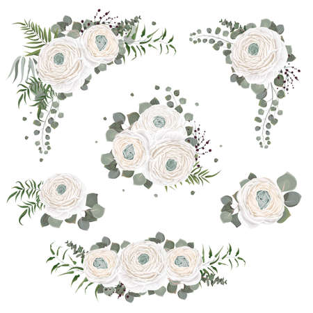 Floral vector collection. White roses, ranunculus, berries, eucalyptus, green plants and leaves. Flower compositions on white background.のイラスト素材