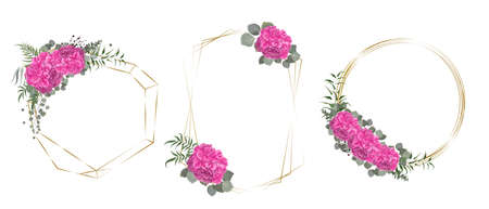 Vector flower set. Pink hydrangea, eucalyptus, green plants and leaves. Collection of gold frames.のイラスト素材