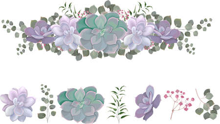 Floral vector border. Succulents, eucalyptus, pink gypsophila, green plants and leaves. All elements are isolated on white backgroundのイラスト素材
