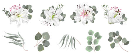 Vector set of flowers and herbs. White lily, various plants, leaves, grass. Collection of greenery, eucalyptus.のイラスト素材