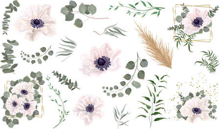 Vector grass and flower set. Eucalyptus, different plants and leaves, dry wood. White anemones, branches with flowers, compositions with gold framesのイラスト素材