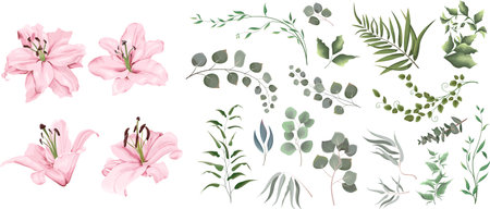 Vector grass and flower set. Eucalyptus, different plants and leaves. Pink lilies , branches with flowersのイラスト素材