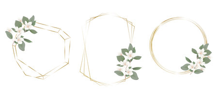 Vector floral collection for wedding design. Magnolia branch, gold framesのイラスト素材