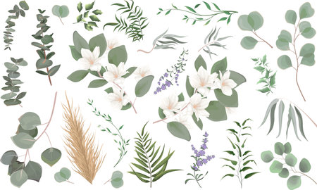 Mix of herbs and plants vector big collection. Juicy eucalyptus, deadwood, green plants and leaves. All elements are isolated. A branch of white magnolia, sakura, lavender.のイラスト素材