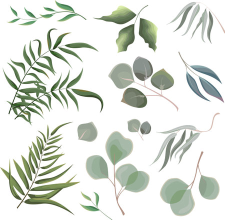 Mix of herbs and plants vector big collection. Juicy eucalyptus, green plants and leaves. All elements are isolatedのイラスト素材