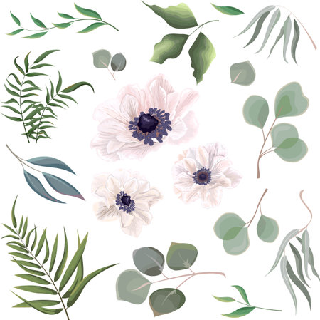 Mix of herbs and plants vector big collection. Juicy eucalyptus, green plants and leaves. All elements are isolated. White anemones.のイラスト素材