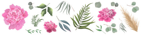 Mix of herbs and plants vector collection. Green plants and leaves. All elements are isolated. Pink peony. . Vector illustrationのイラスト素材