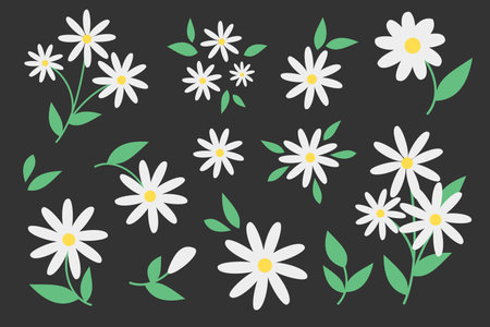 Vector Floral Set. Cute illustrations of daisiesのイラスト素材