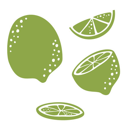 Juicy set with lime. Whole lime, sliced, in slices. Fruit on white backgroundのイラスト素材