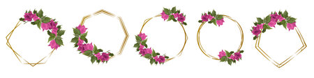 Vector set of gold frames of different shapes and pink bougainvillea. Frames on white background for holiday design. . Vector illustrationのイラスト素材