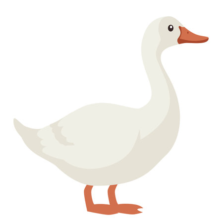 Flat vector illustration. Farm animals, cute goose on white background . Vector illustrationのイラスト素材