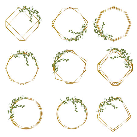 Vector set with gold frames and sprigs of green eucalyptus. Frames on white background for holiday design. . Vector illustrationのイラスト素材