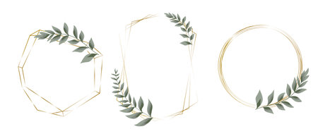 Vector set with gold frames and sprigs of green eucalyptus. Frames on white background for holiday design. . Vector illustrationのイラスト素材