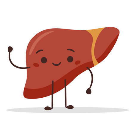 Flat vector illustration. Healthy liver with a smiling face waving. . Vector illustrationのイラスト素材