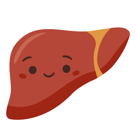 Flat vector illustration. Human organ liver with cute smiling face. Healthy liver. Vector illustrationのイラスト素材