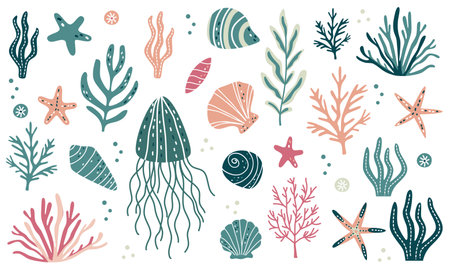 Vector collection of sea plants and shells. Jellyfish, algae, corals, shells and starfish. Marine illustrations in Scandinavian style . Vector illustrationのイラスト素材