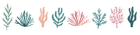 Vector collection of colorful corals. Underwater plants on white background . Vector illustrationのイラスト素材