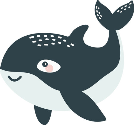 Flat vector illustration in childrens style. Cute killer whale with smiling face on white background . Vector illustrationのイラスト素材