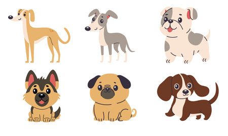 Set of flat vector illustrations of dogs of different breeds. Greyhound, chihuahua, French bulldog, pug, German shepherd, dachshund. Vector illustrationのイラスト素材