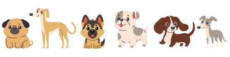 Set of flat vector illustrations of dogs of different breeds. Greyhound, chihuahua, French bulldog, pug, German shepherd, dachshund. Vector illustrationのイラスト素材