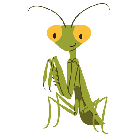 Flat vector illustration in childrens style. Cute praying mantis on white background . Vector illustrationのイラスト素材