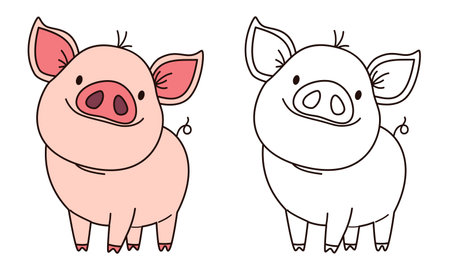 Flat vector illustration for childrens coloring book. Cute pig in black and white and color version. Farm pets . Vector illustrationのイラスト素材