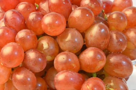 freshly GRAPE3の写真素材