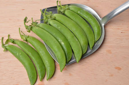 green peaの写真素材