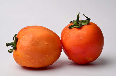 tomatoの写真素材