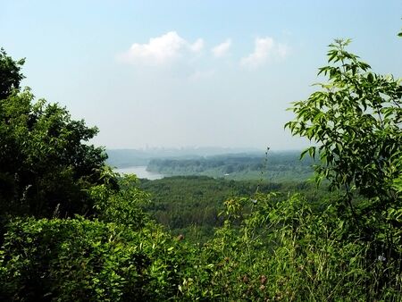 the beauty of natureの写真素材