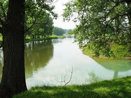 the beauty of natureの写真素材