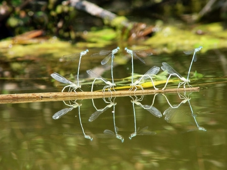 the beauty of natureの写真素材