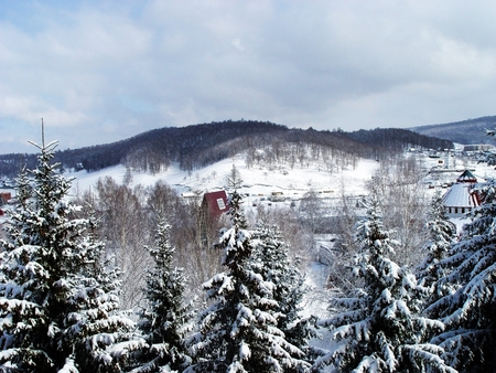 winterの写真素材
