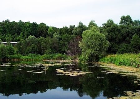 lake of the woodsの写真素材
