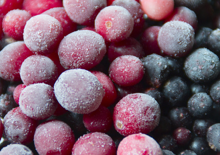 Forest berries covered with hoarfrost, close-upの写真素材
