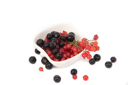 Red and black currants isolated on white background. Berries on a white background. Red berries. Black berriesの写真素材