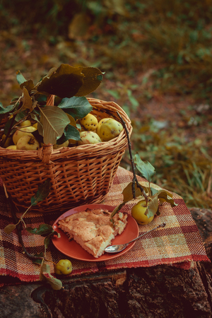 Basket with apples and charlotte from apples. Autumn harvesting. Collected homemade apples in the basket. Healthy foodの写真素材
